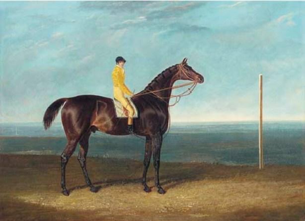 Ack Spigot, A Dark Bay Racehorse With Jockey Up — John Frederick Herring Senior