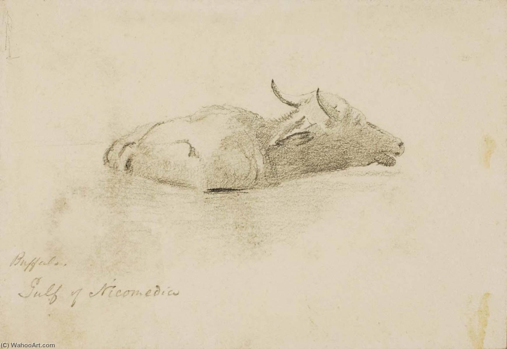 Buffalo, Gulf Of Nicomedia — Miner Kilbourne Kellogg