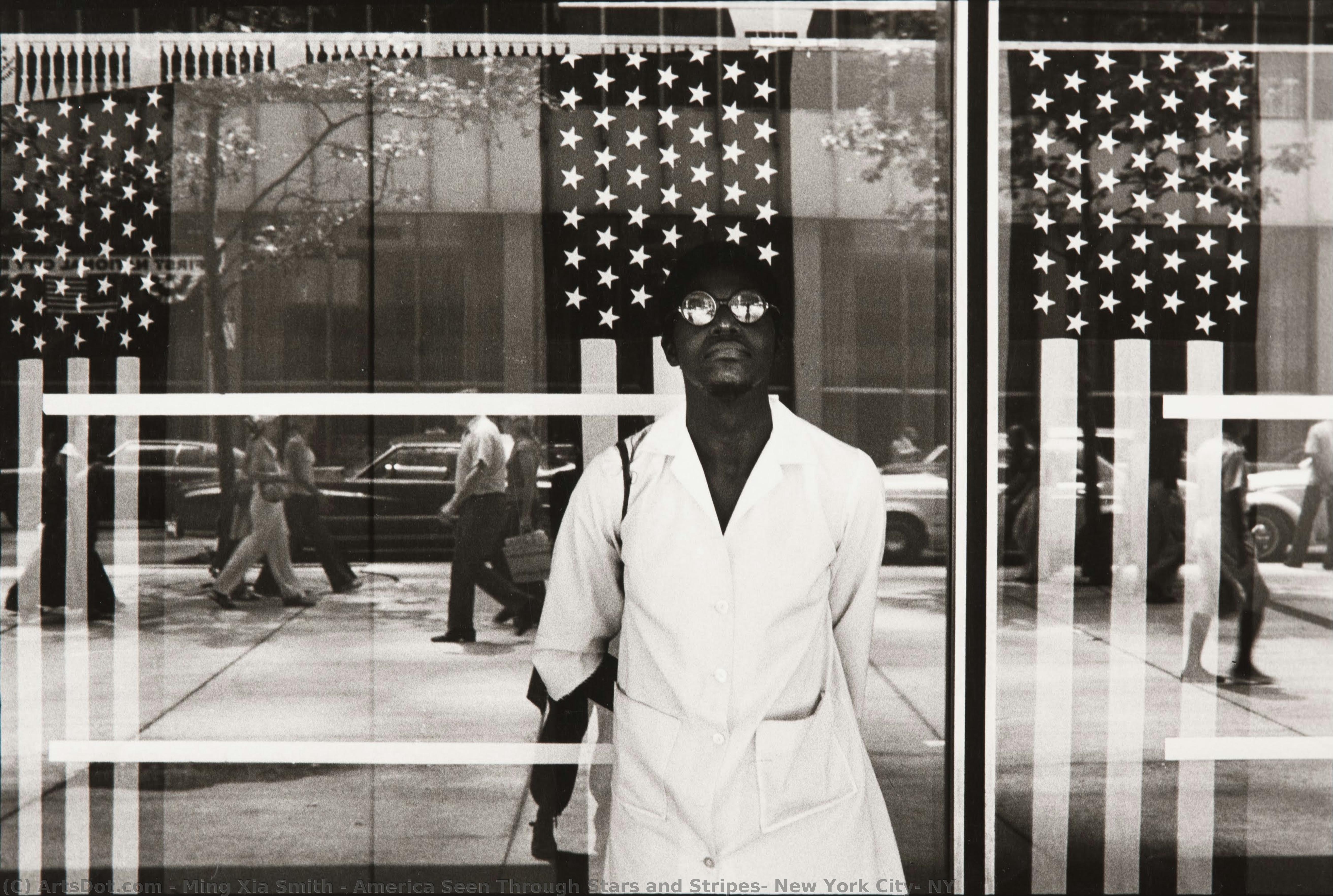 America Seen Through Stars And Stripes, New York City, Ny — Ming Xia Smith
