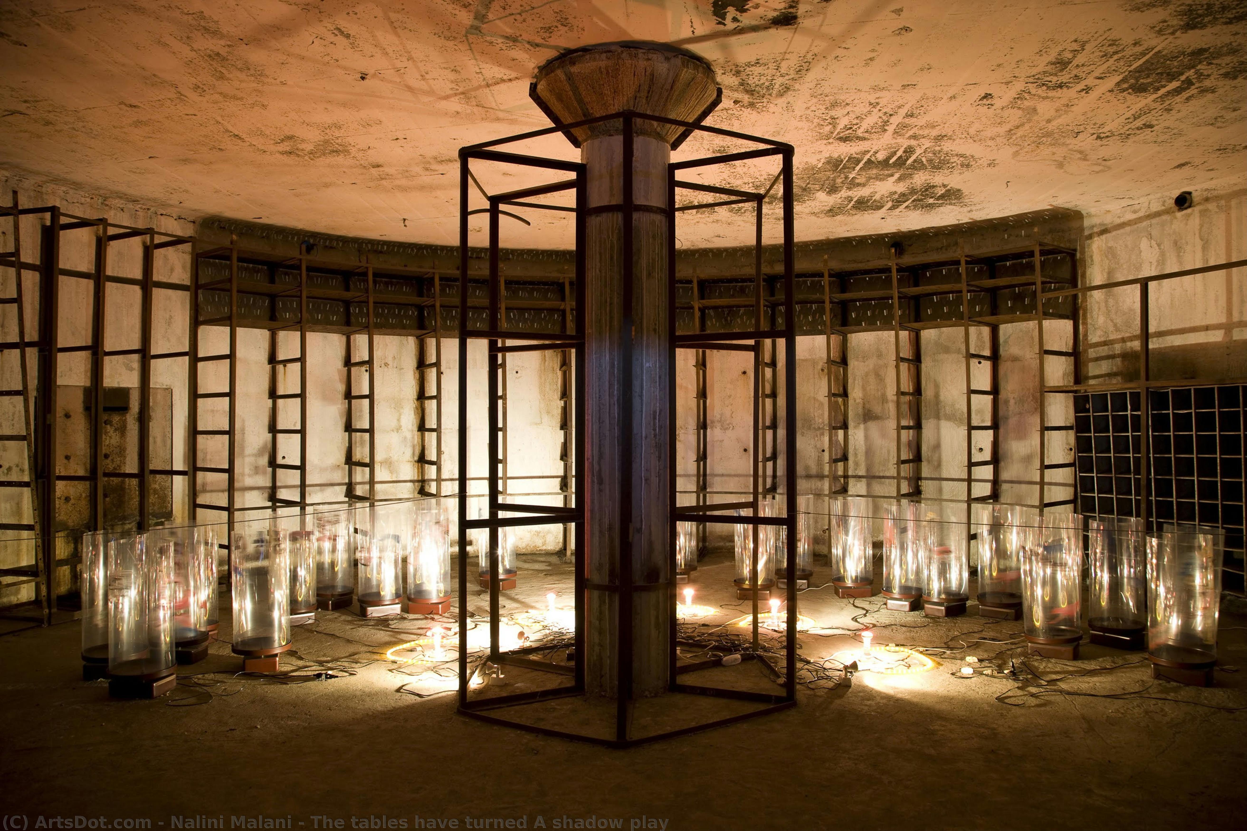 The Tables Have Turned A Shadow Play — Nalini Malani