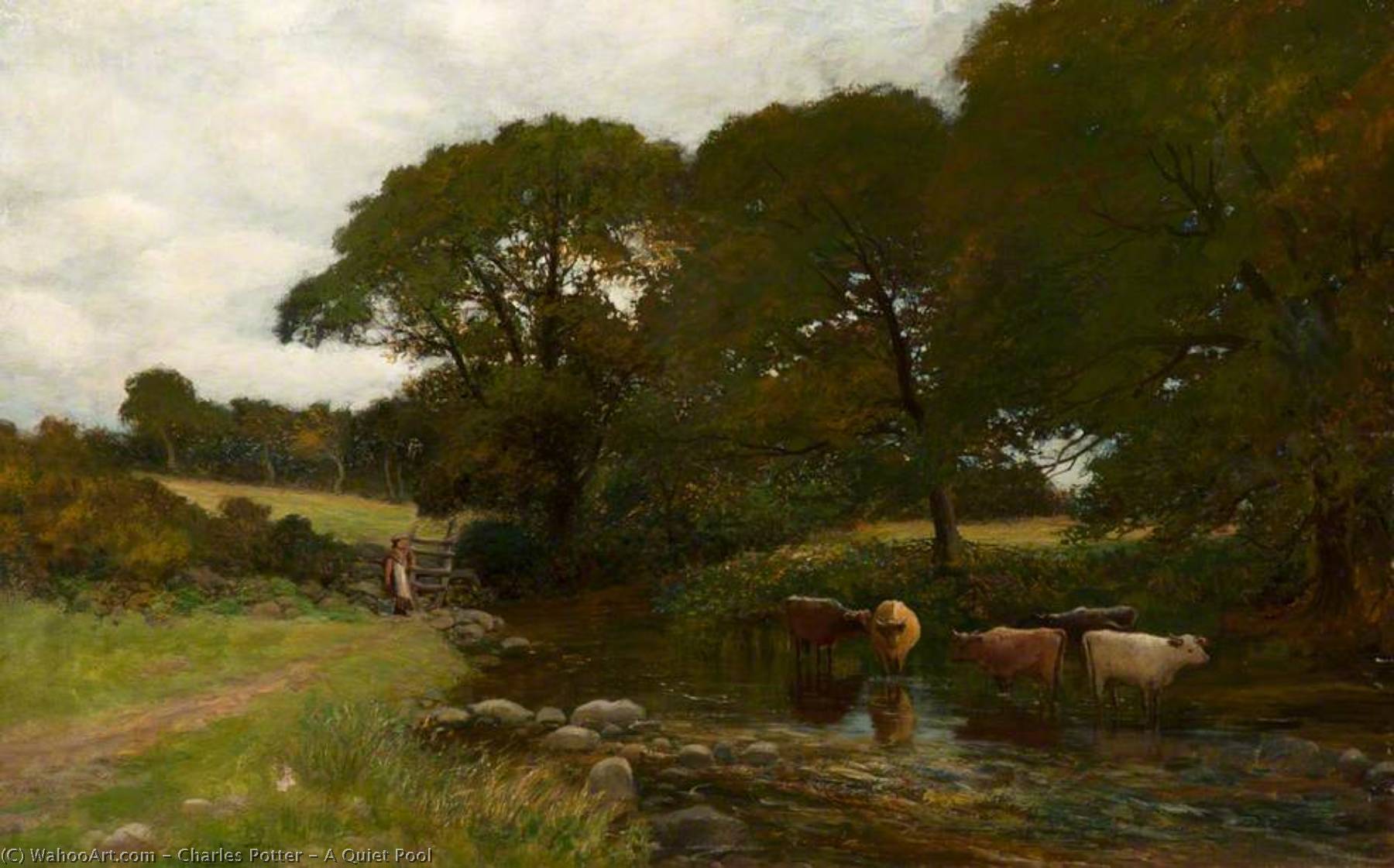 A Quiet Pool — Charles Potter