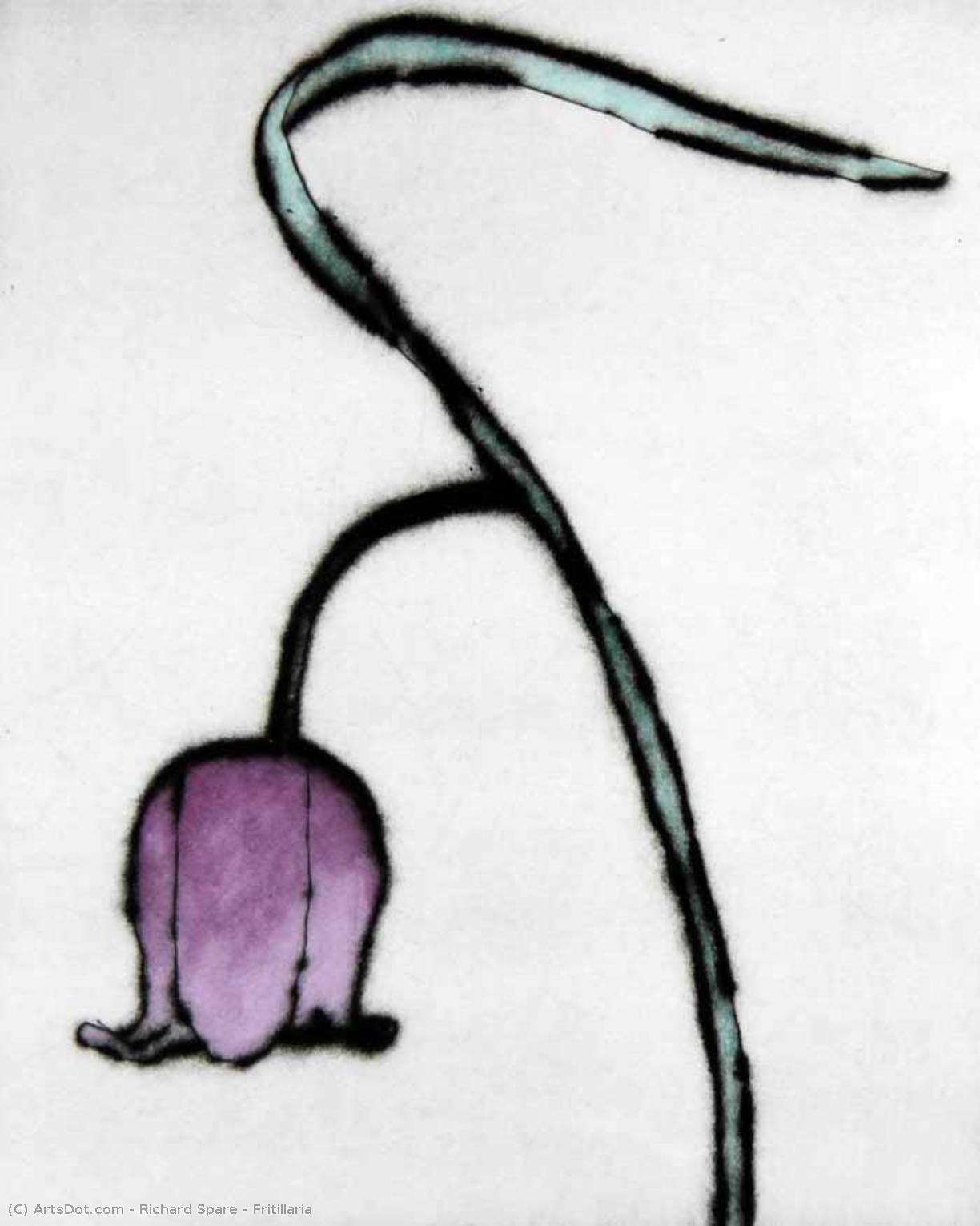 Fritillaria — Richard John Spare