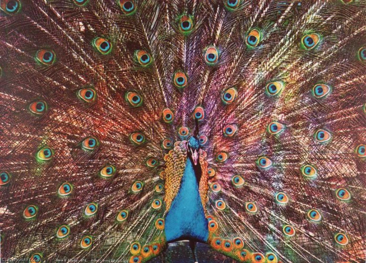 Power And Beauty No. - (6) — Colin Self