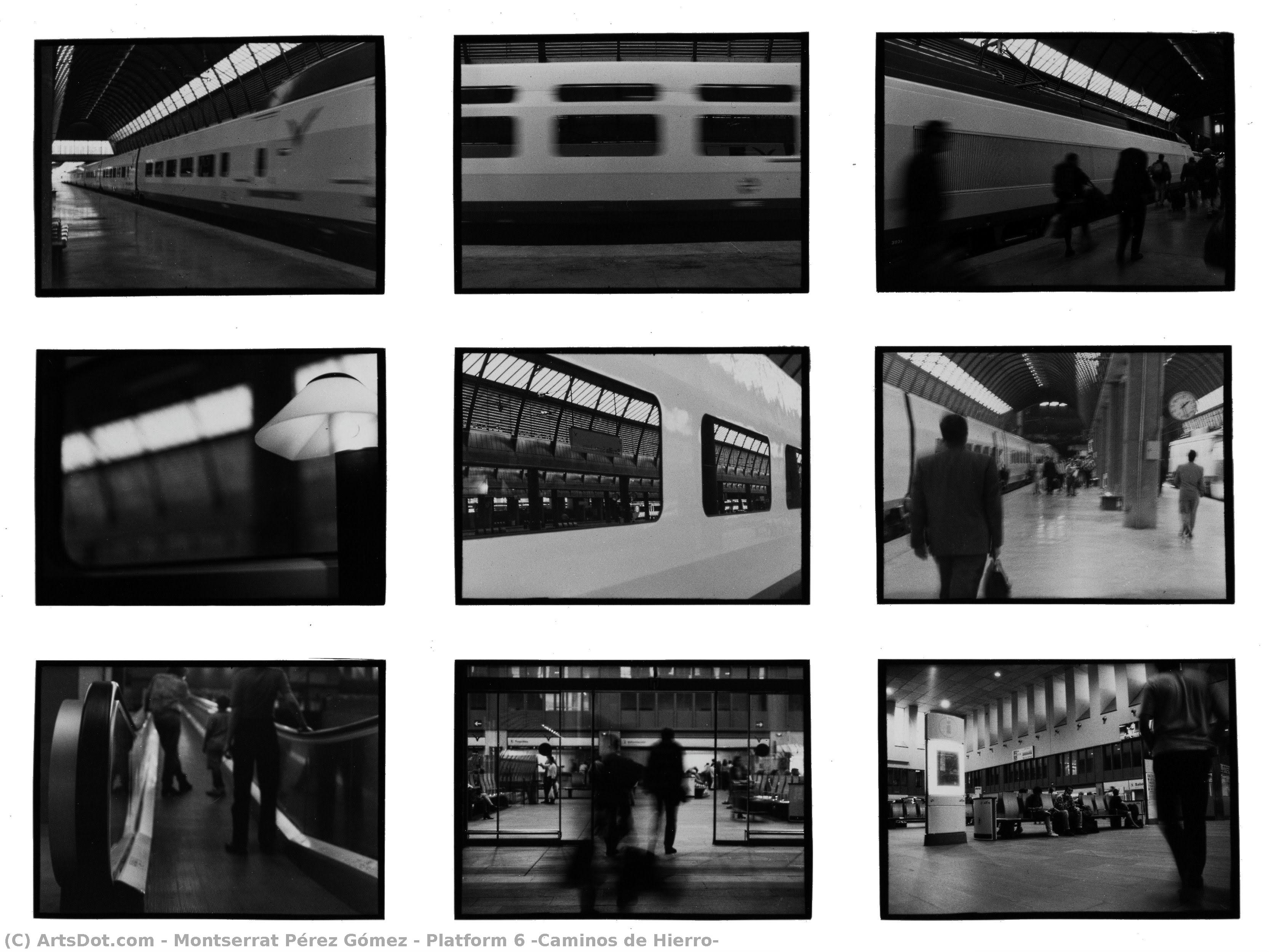Platform 6 [caminos De Hierro] — Montserrat Pérez Gómez