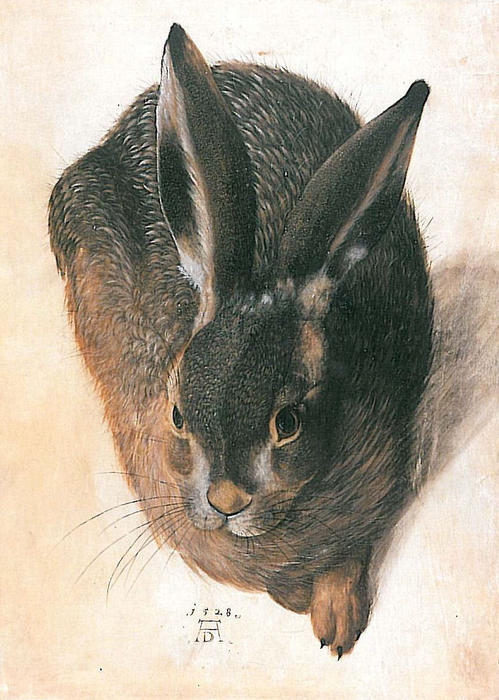 Hare — アルブレヒト・デューラー