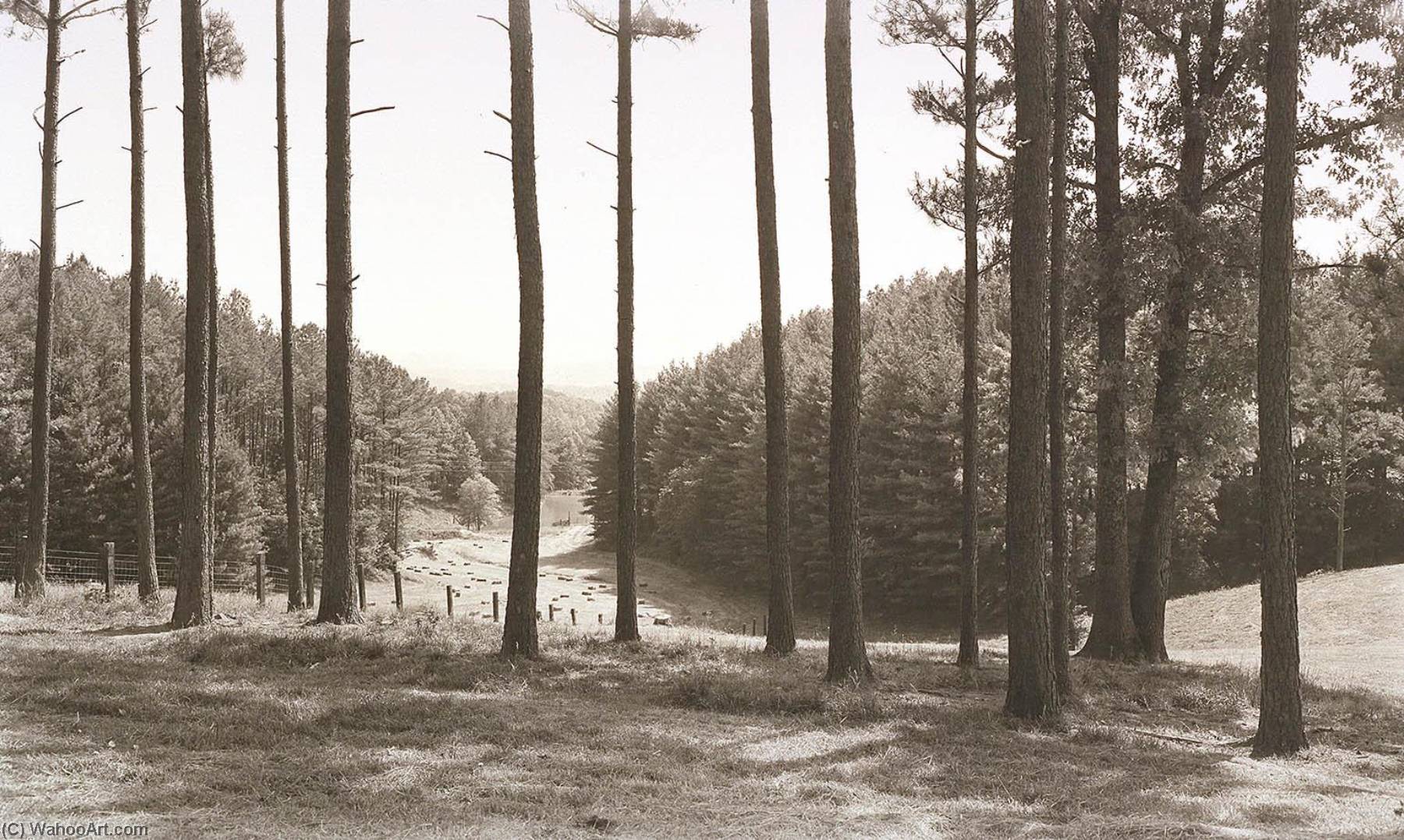 Cumberland Gap, Kentucky — Dick Arentz