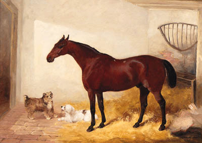 A Bay Hunter With Two Terriers In A Loosebox — Charles Hancock