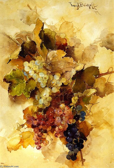 Grapes — František Bischoff