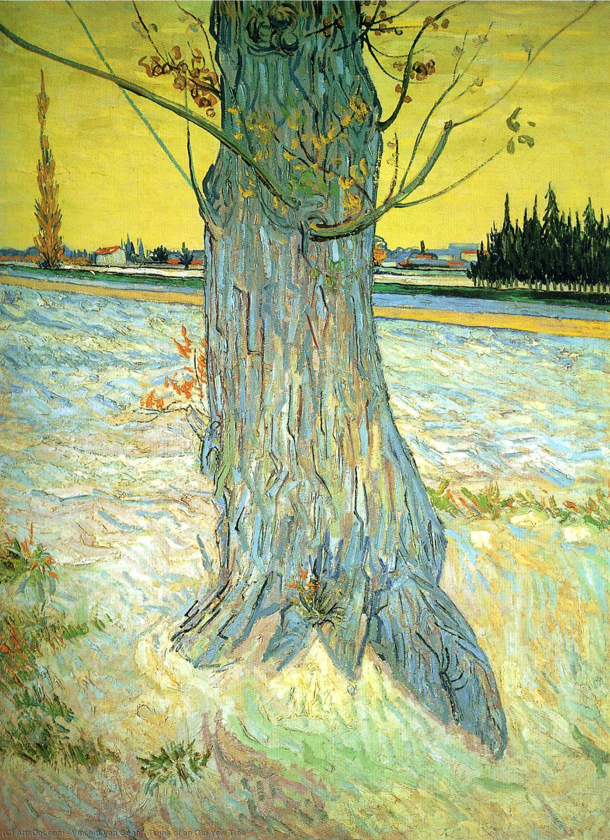 Tronco De Un Viejo Tejo — Vincent Willem Van Gogh