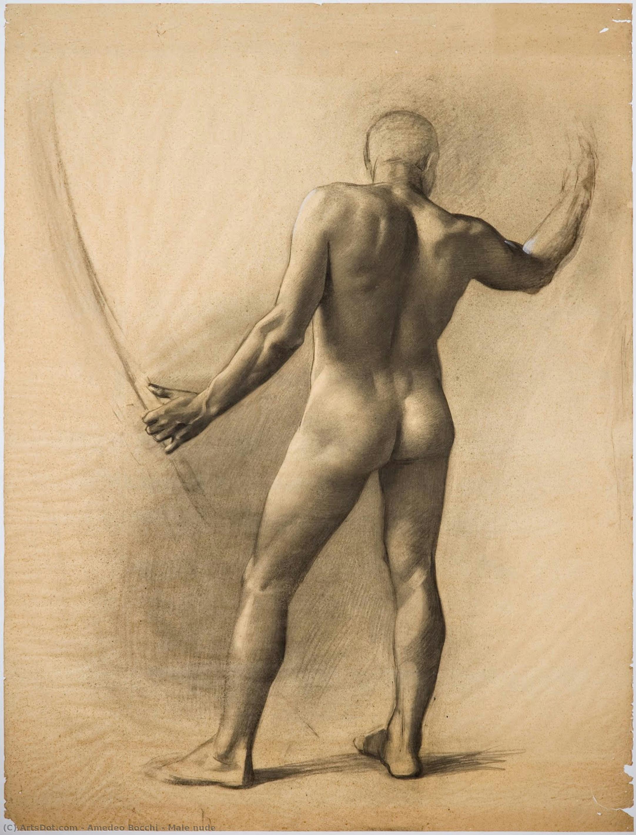 Male Nude — Amedeo Bocchi