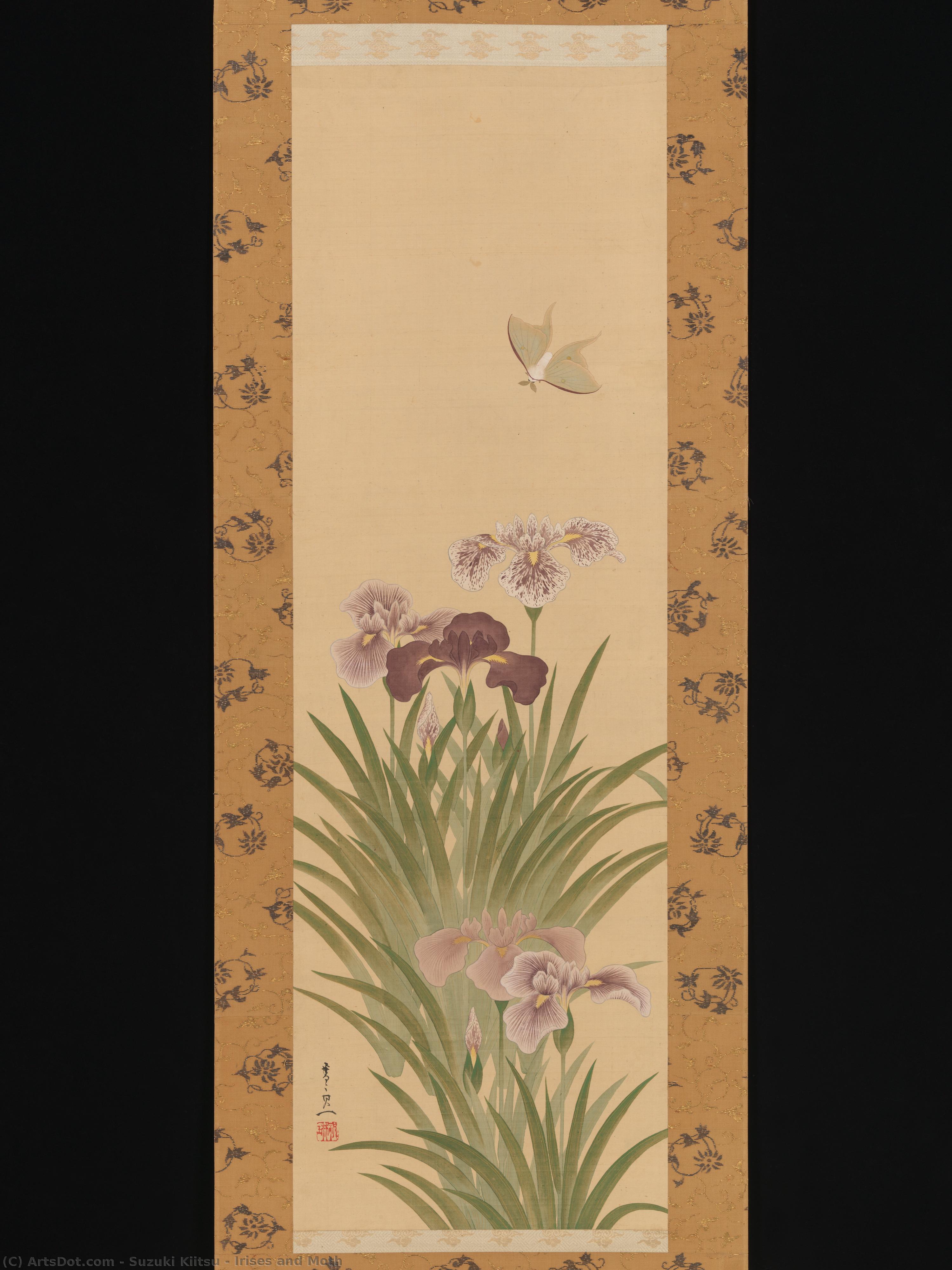 Irises And Moth — Suzuki Kiitsu