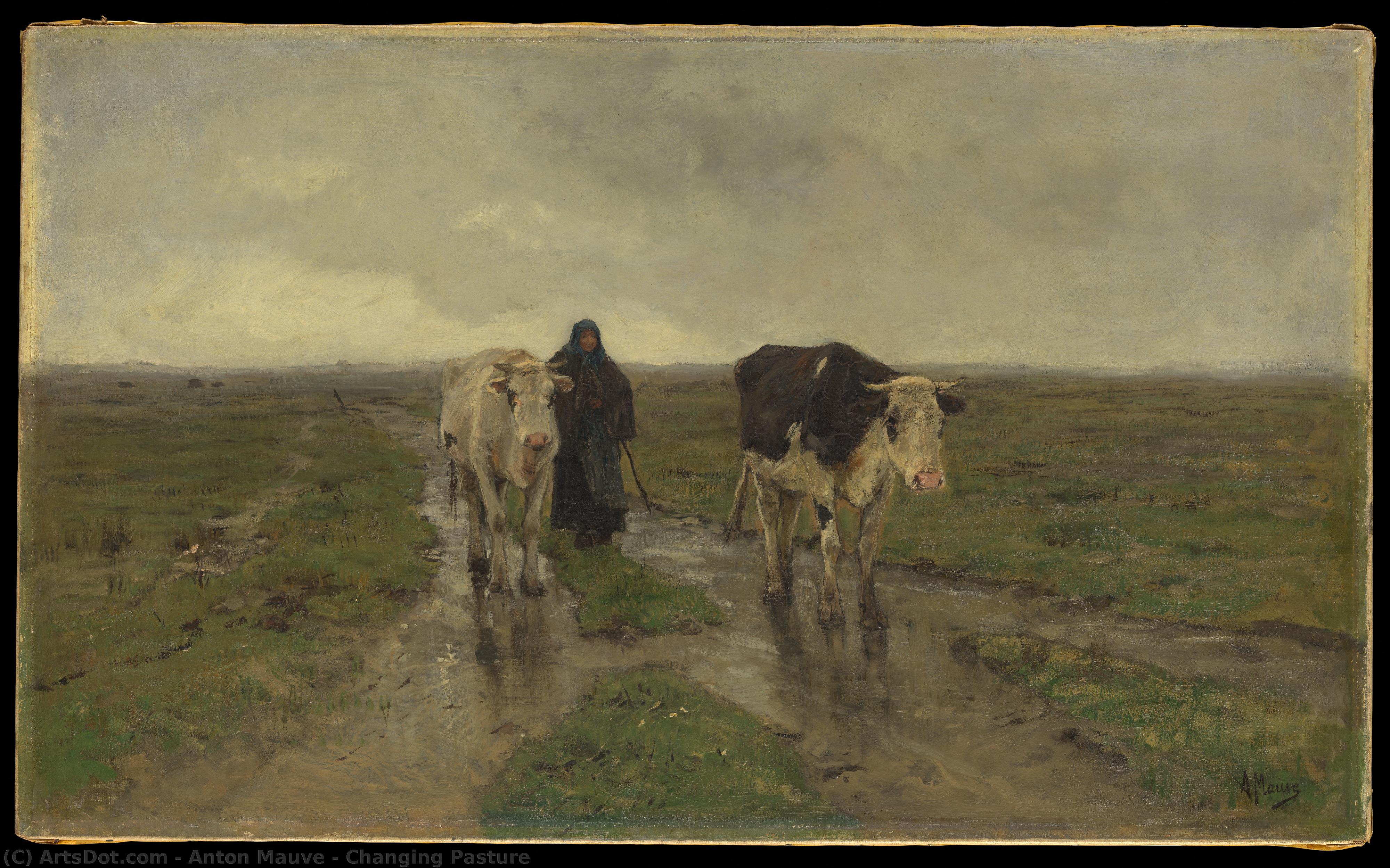 Changing Pasture — Антон Мауве