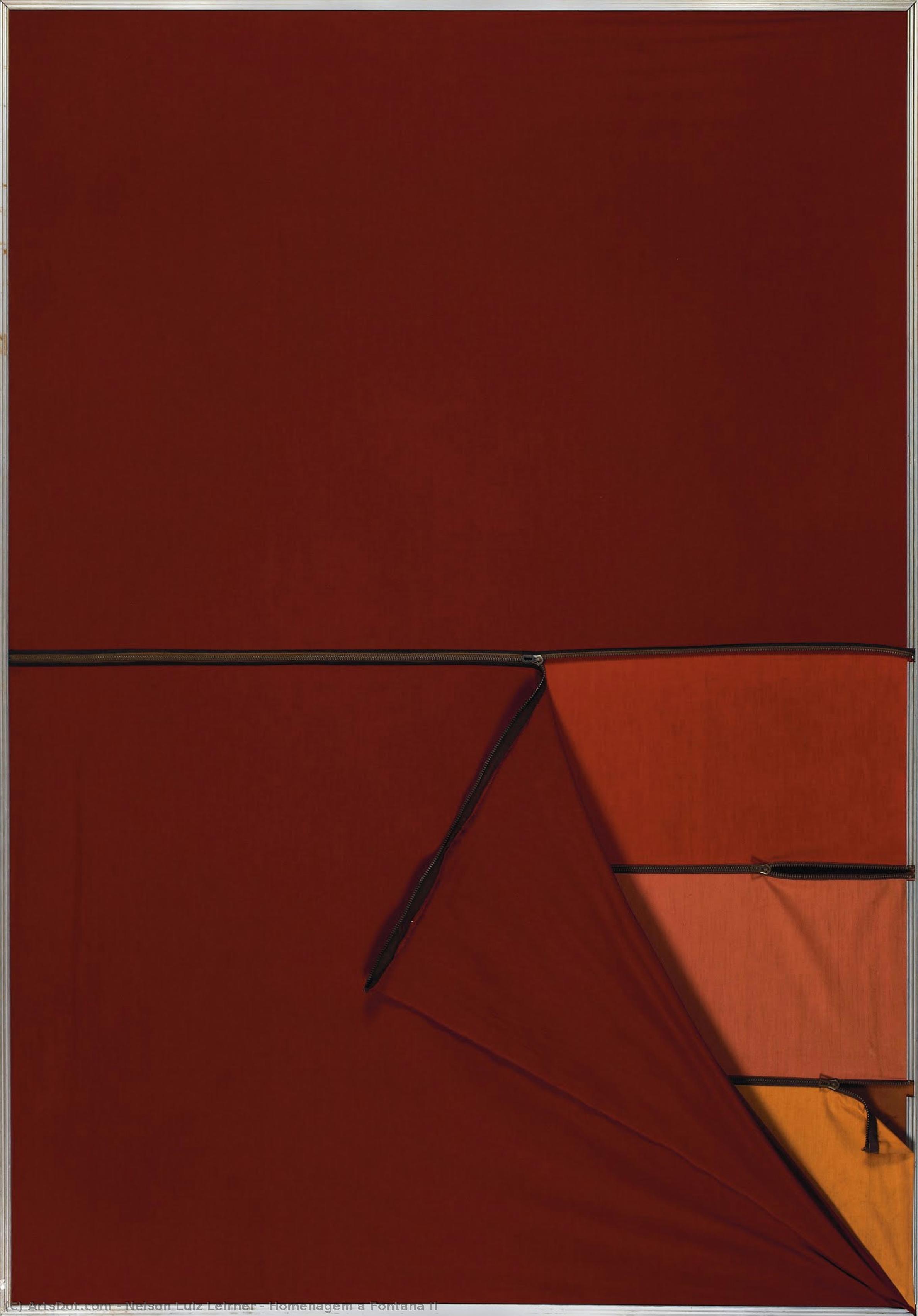 Homenagem A Fontana Ii — Nelson Luiz Leirner