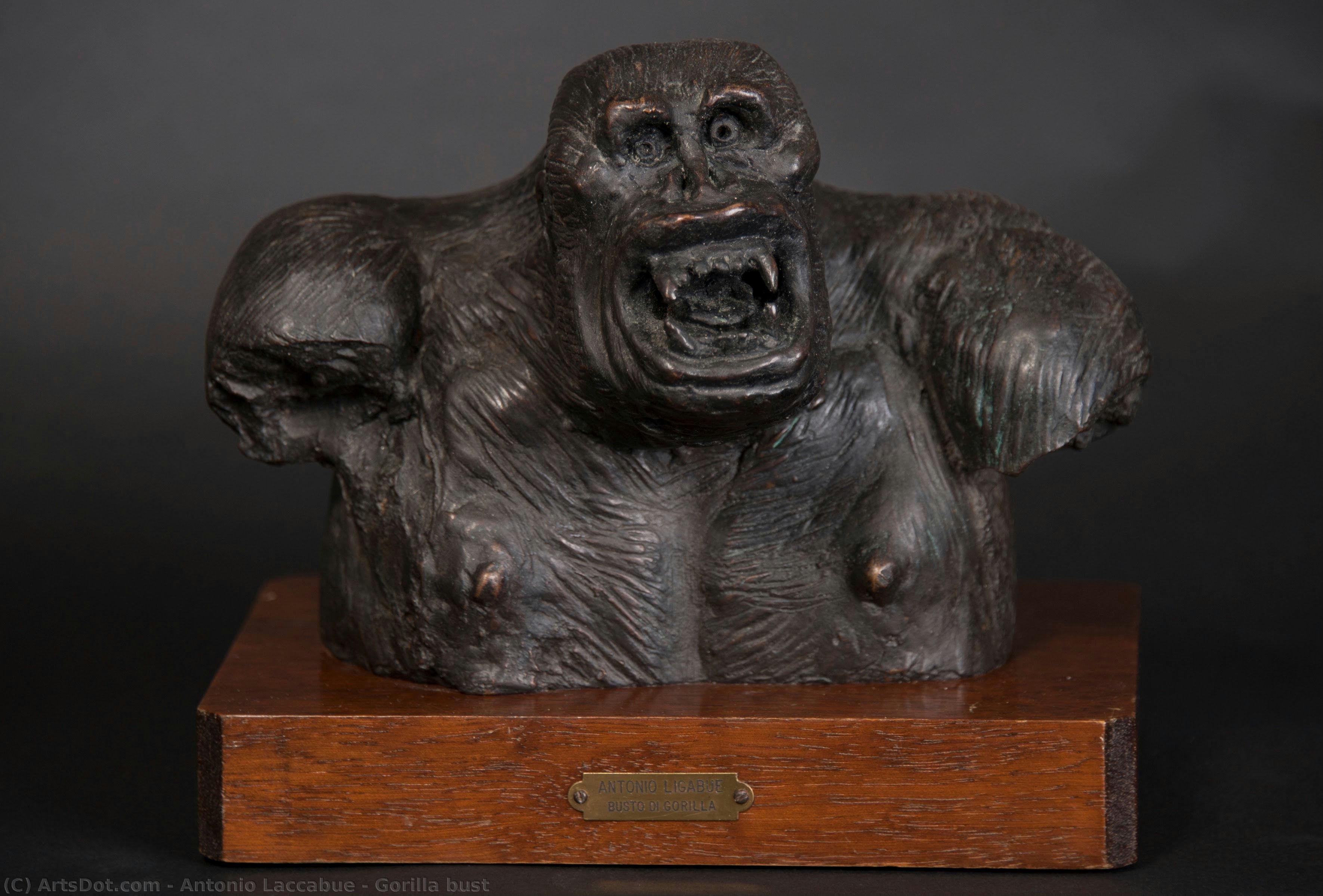 Gorilla Bust — アントニオ・ラッカブエ