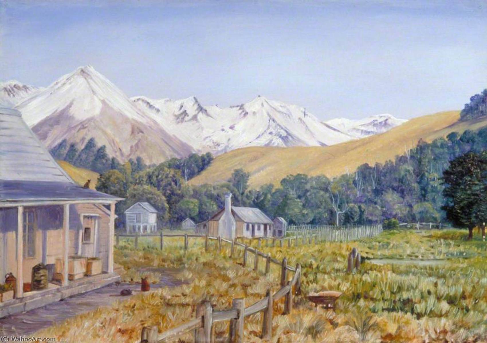 Castle Hill Station Mit Einem Buchenwald, Neuseeland — Marianne North