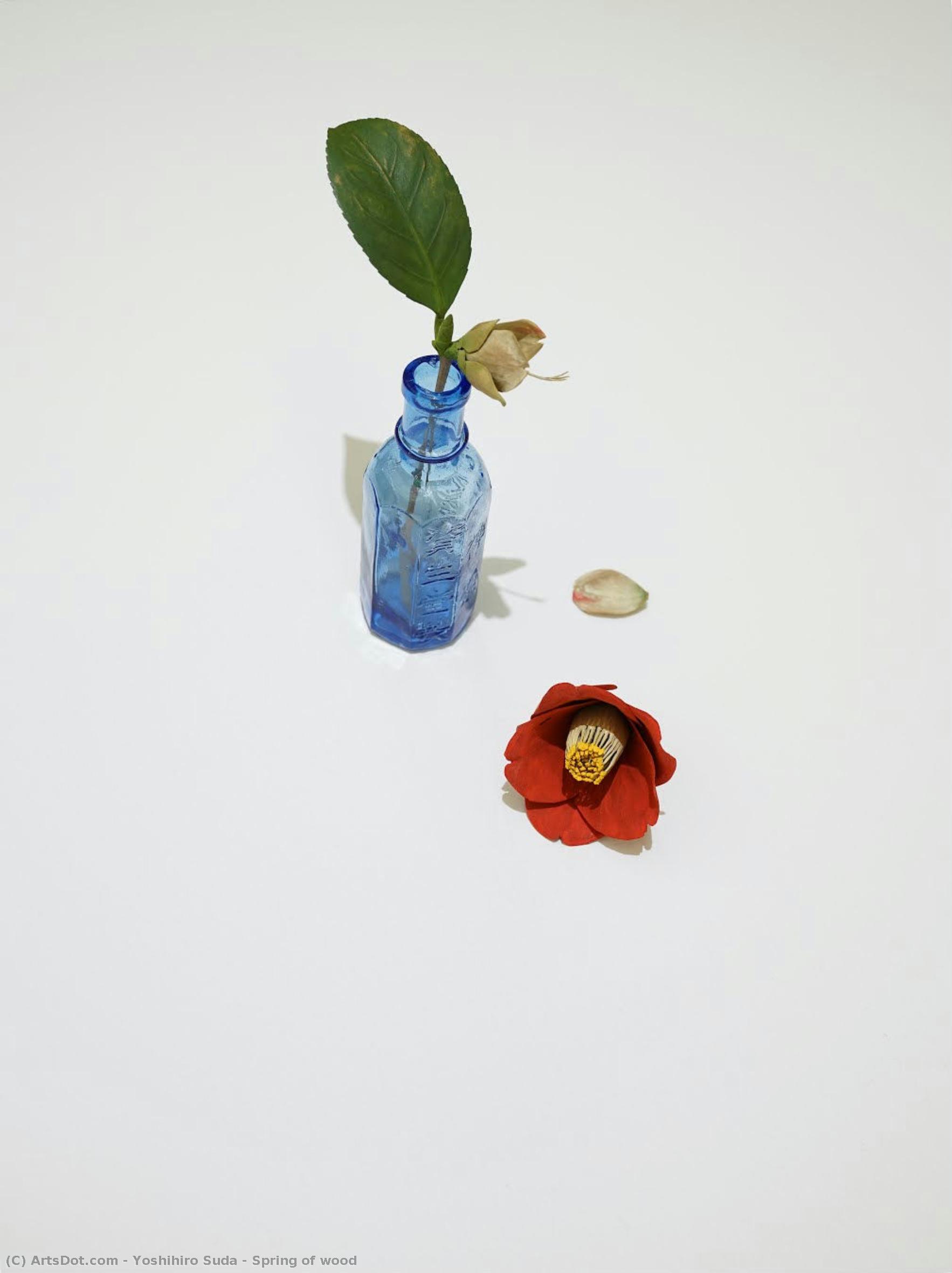Spring Of Wood — Yoshihiro Suda