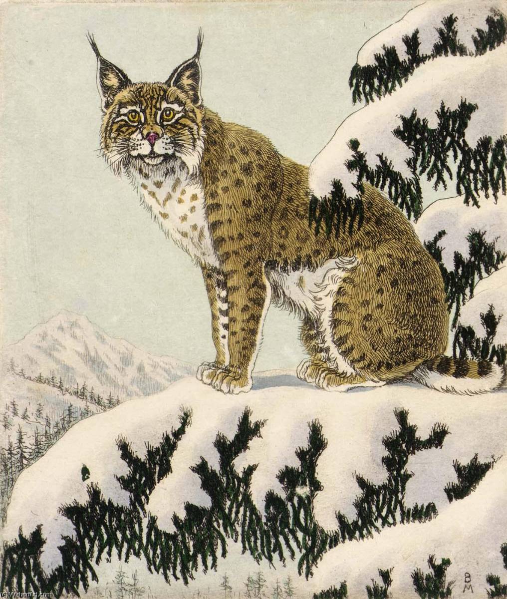 Wildcat Reconnoitering — Benson B Moore