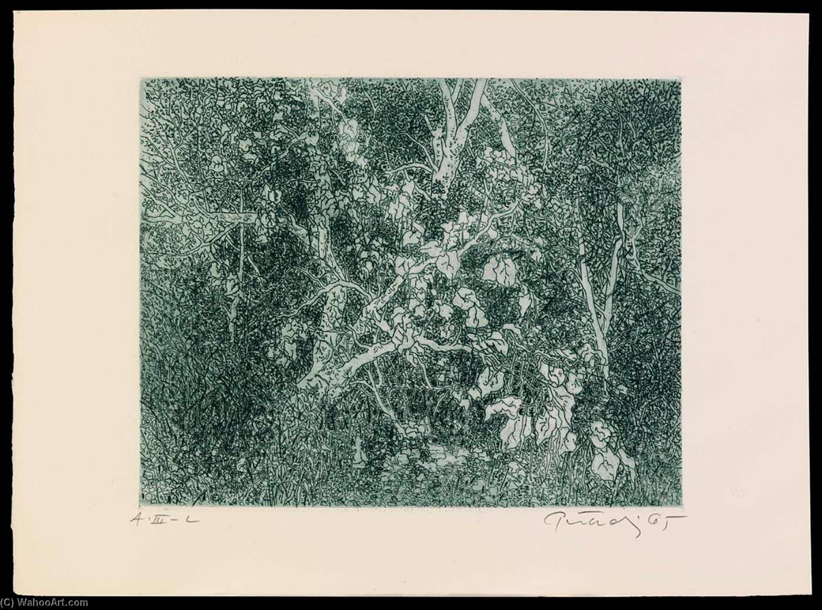 Catalpa, From The Portfolio A Genesis — Gabor Peterdi