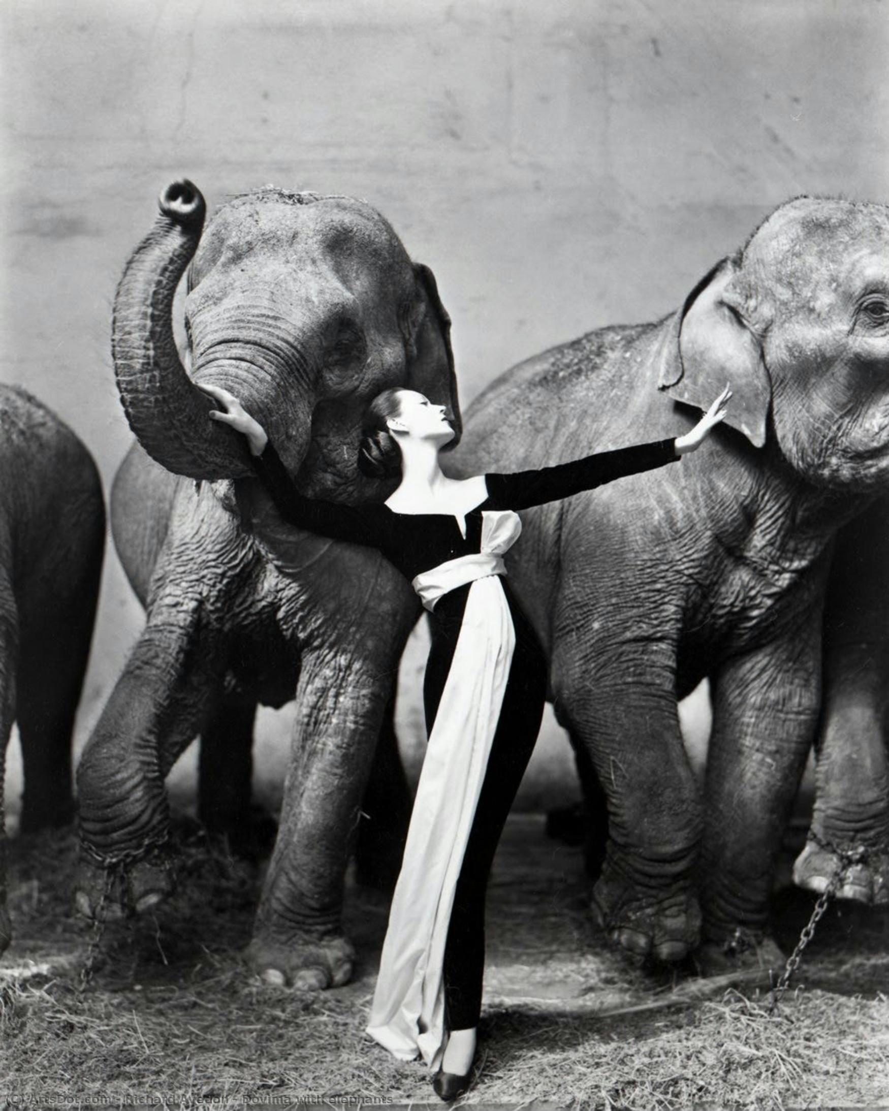 Dovima With Elephants — Ричард Аведон
