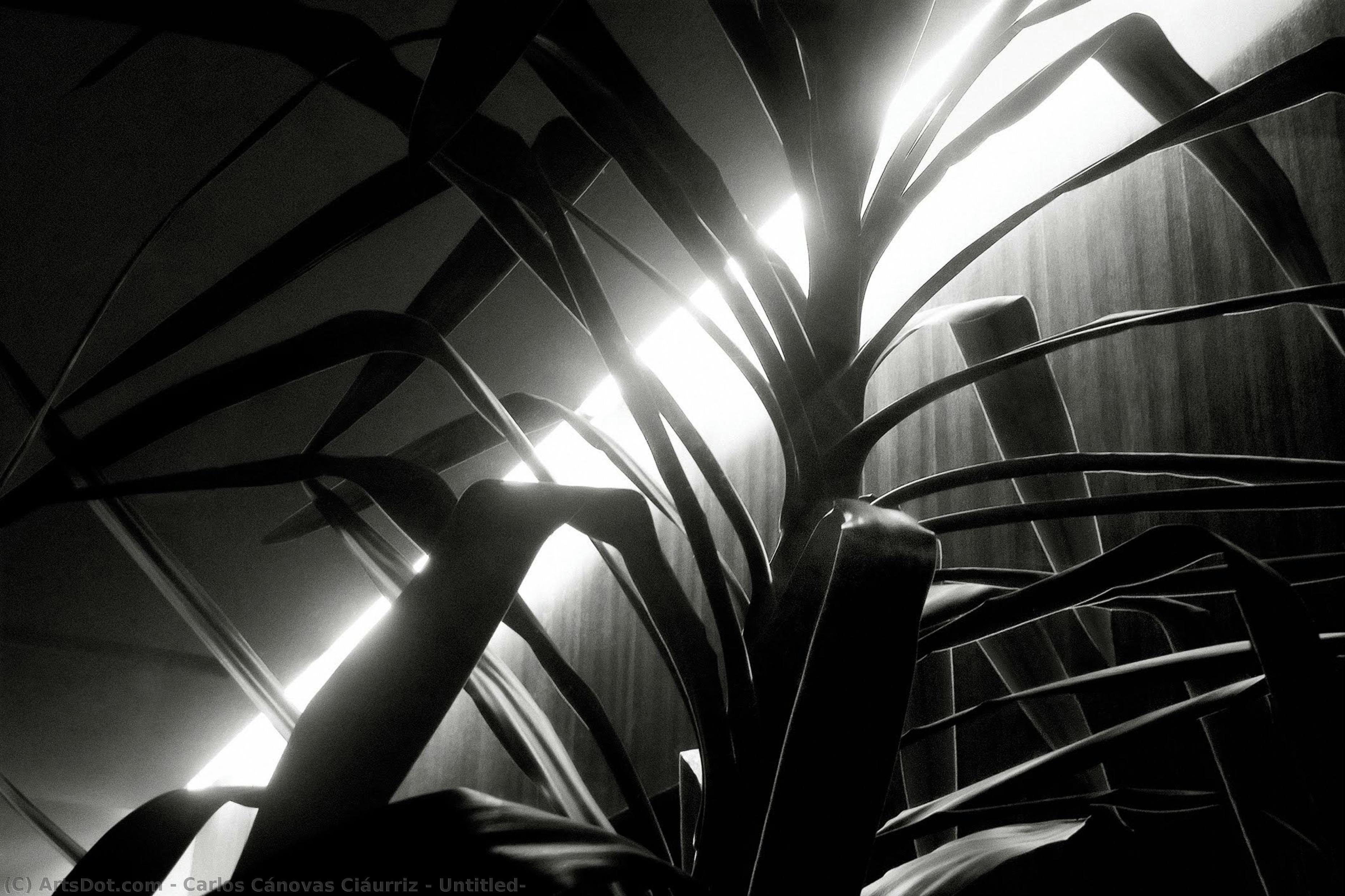 Untitled, — Carlos Cánovas Ciáurriz