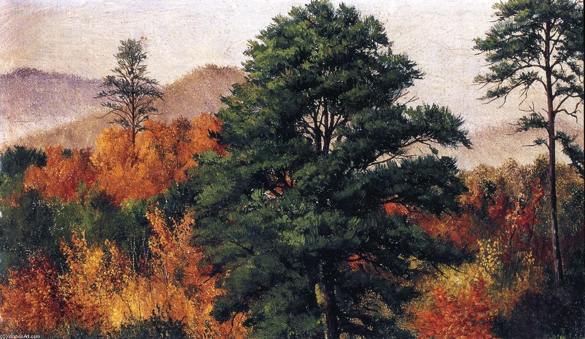 Autumn Scene In The North Carolina Mountains 1 — William Aiken Walker