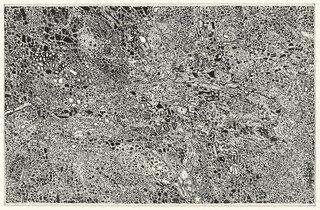 Stone Transcription (transcription Aux Pierres) — Jean Philippe Arthur Dubuffet