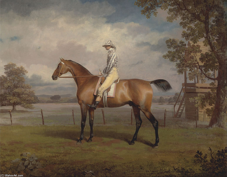 Portrait Of A Racehorse, Possibly Disguise, The Property Of The Duke Of Hamilton, With Jockey Up — George Garrard