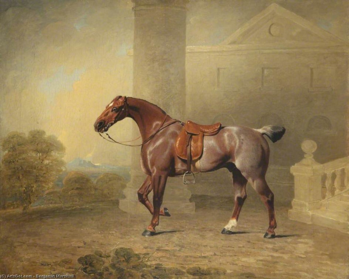 The Prince Of Wales's Favourite Roan Hack — Benjamin Marshall