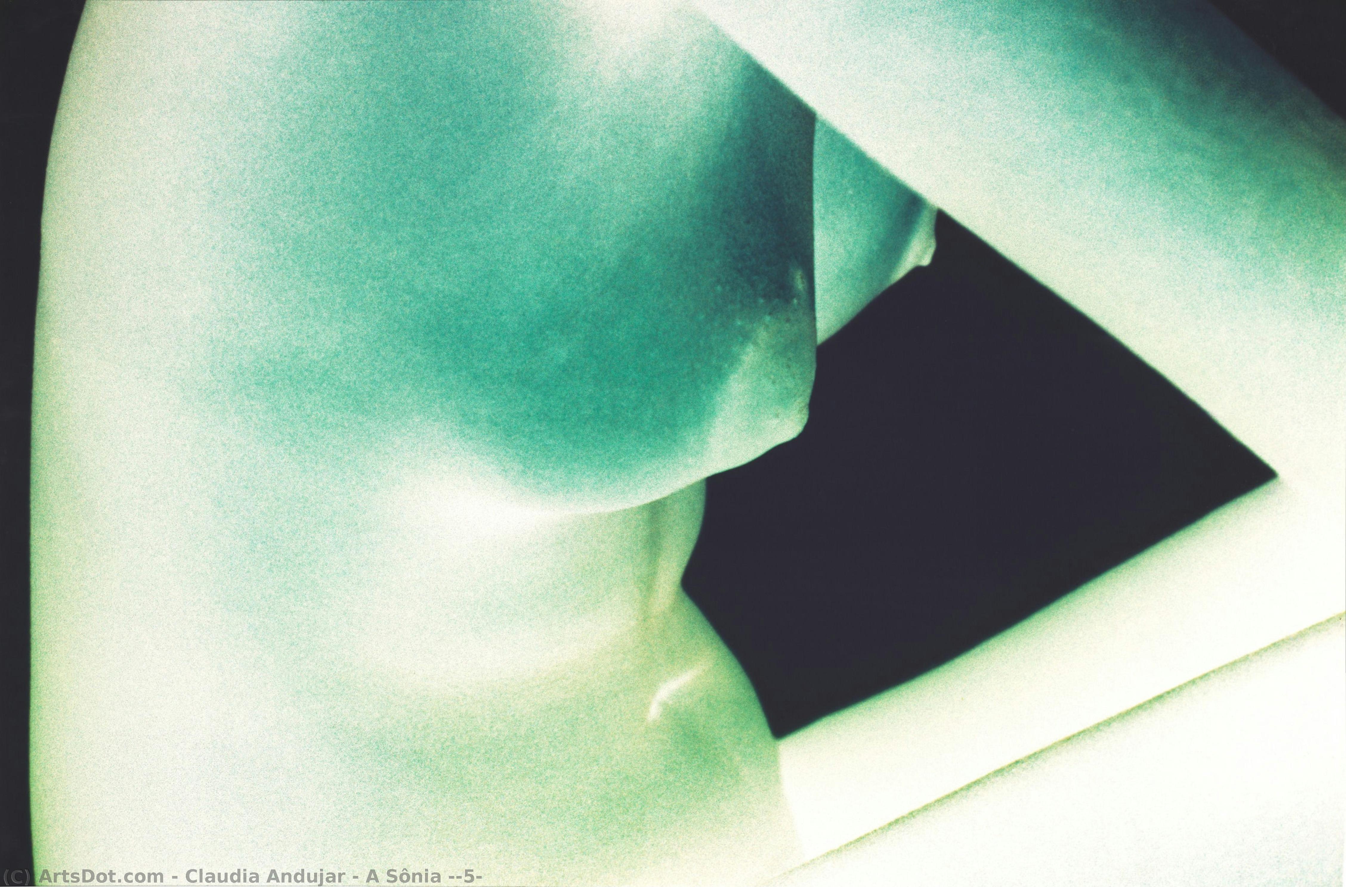 A Sônia (#5) — Claudia Andujar
