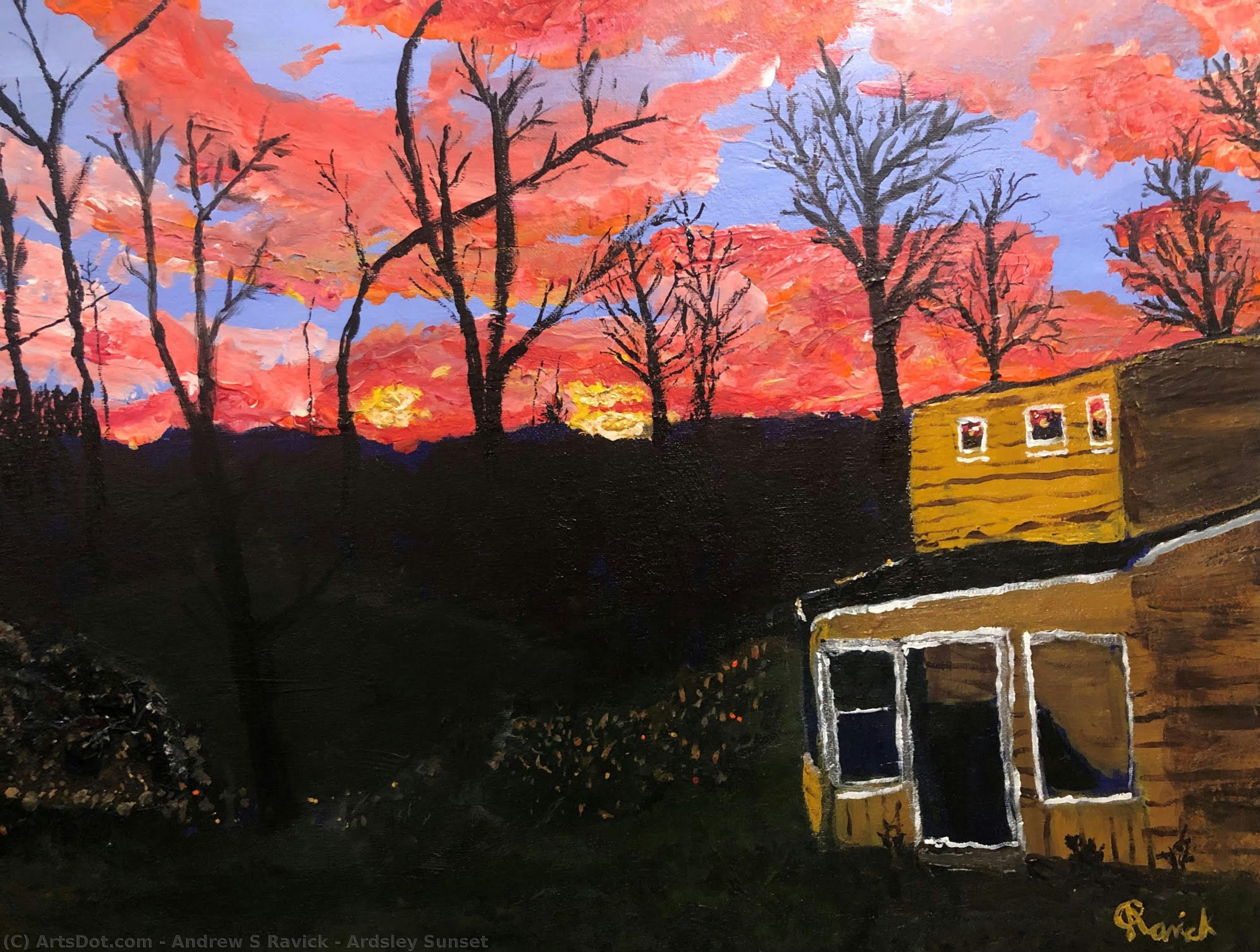 Ardsley Sunset — Andrew S Ravick