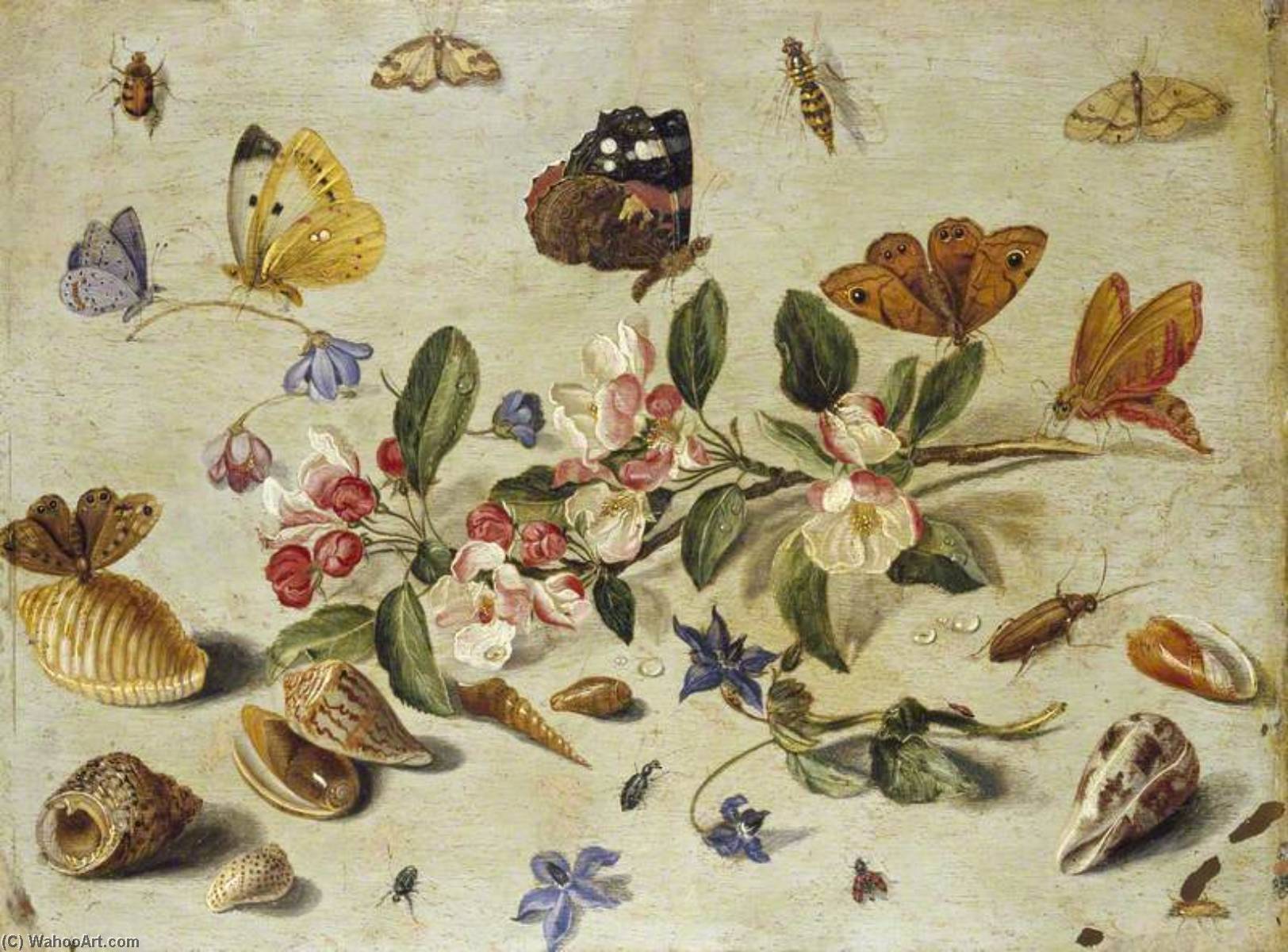 Flowers And Insects — Jan Van Kessel The Elder