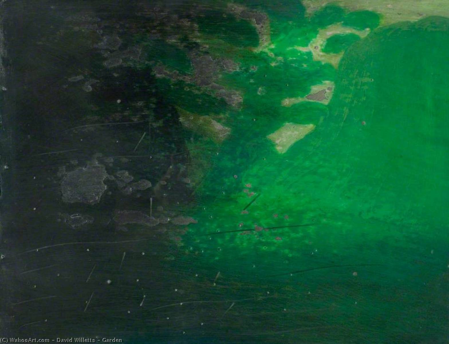 Garden — David Willetts