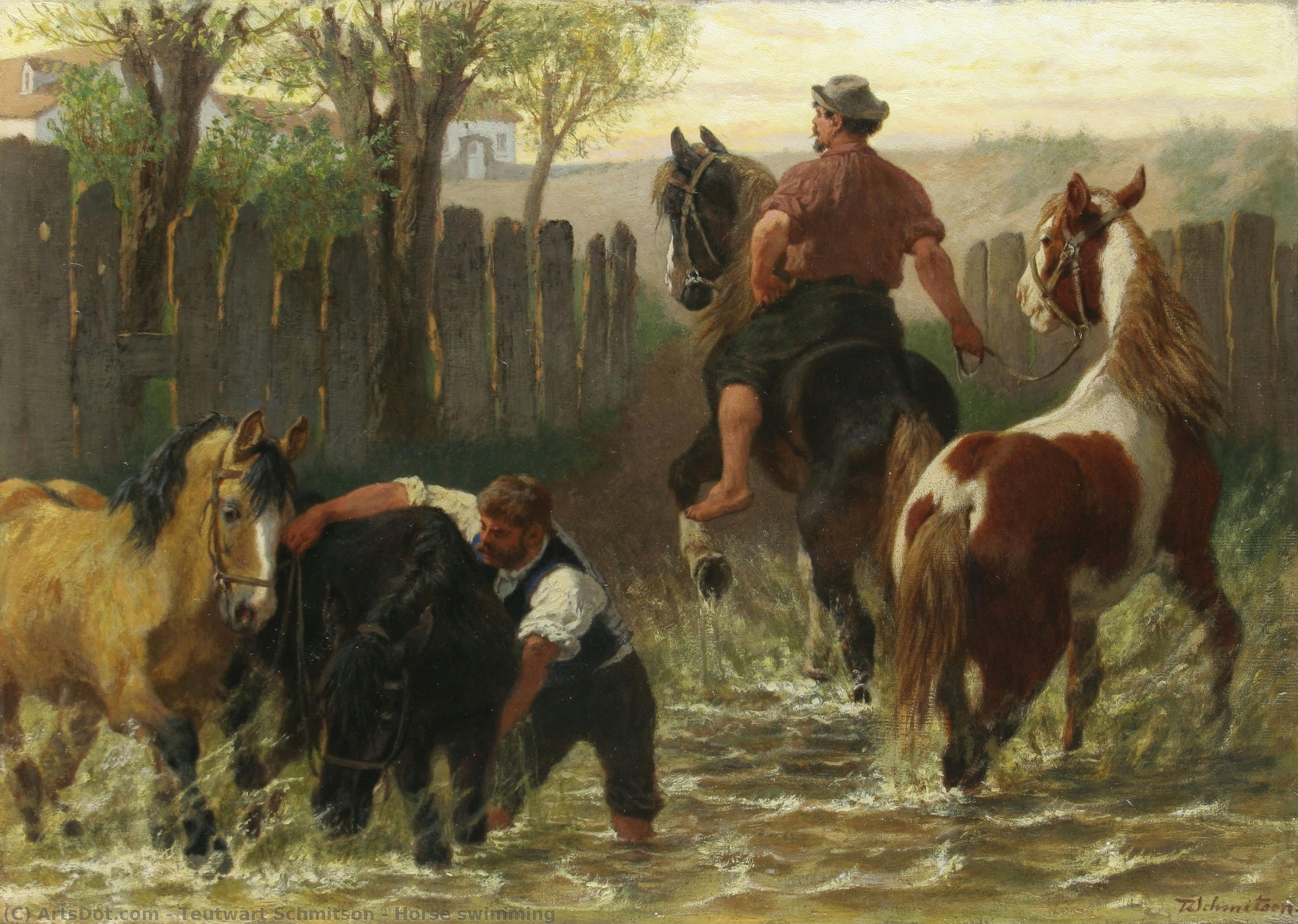 Horse Swimming — Teutwart Schmitson