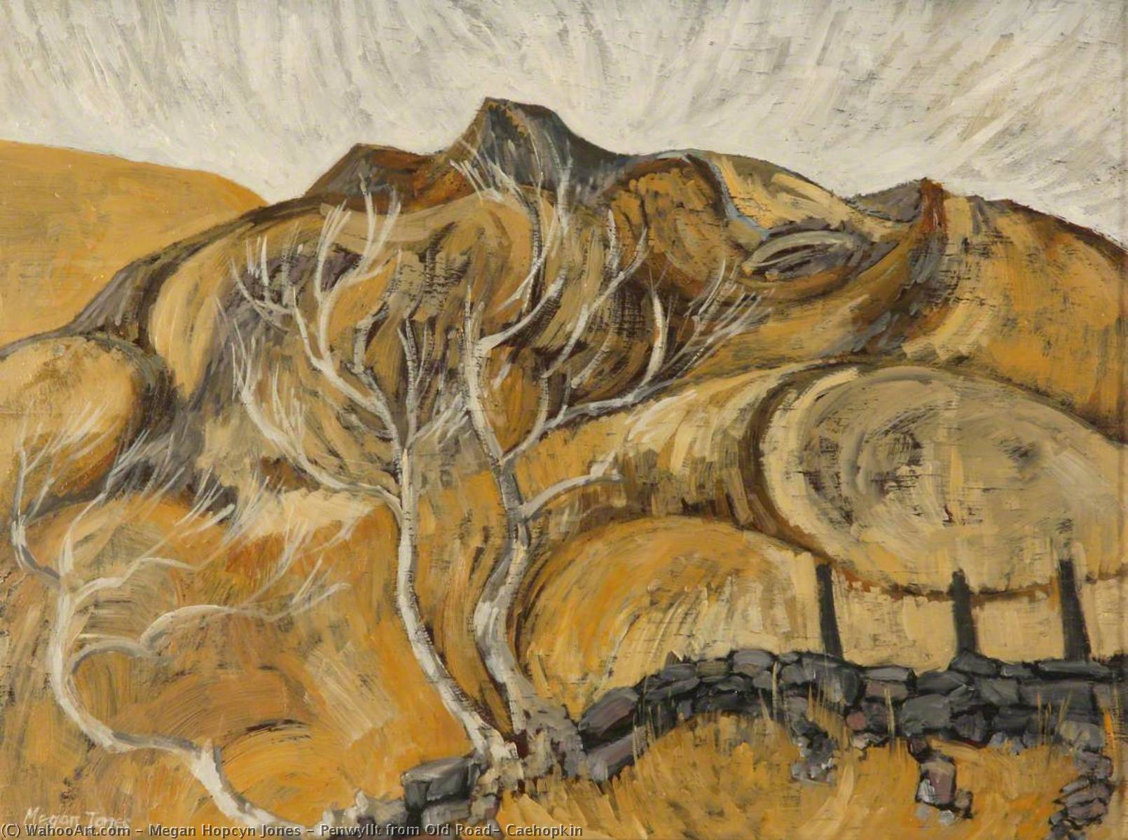 Penwyllt From Old Road, Caehopkin — Megan Hopcyn Jones