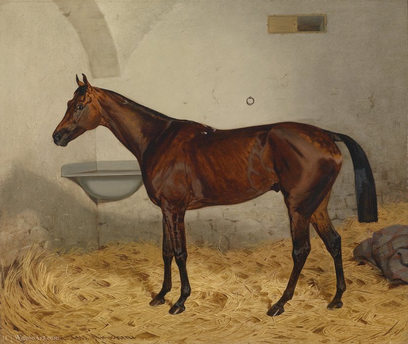 Thoroughbred Stallion Metallist — Emil Franz Adam