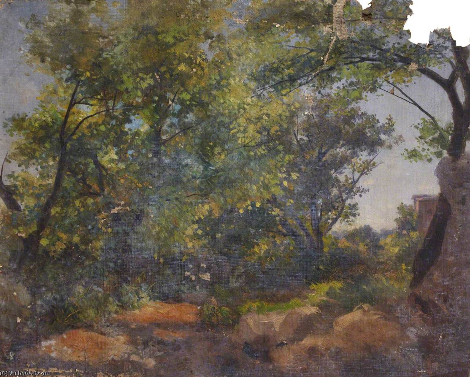 Forest Landscape — Tomas Stjuart Smit