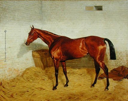 Lonely, Winner Of The Derby — Emil Franz Adam