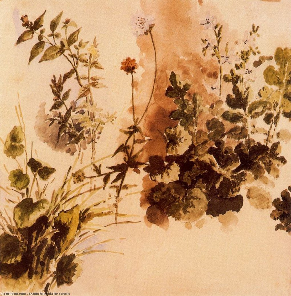 Plant Leaves — Ovidio Murguía De Castro