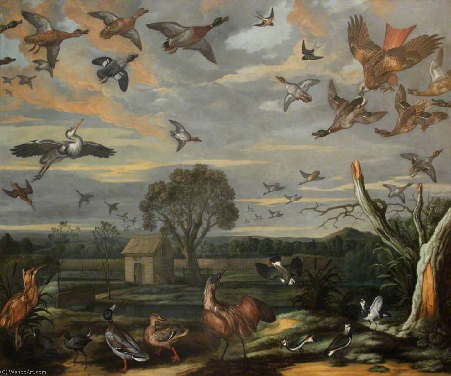 Landscape With Birds And A Duck Decoy — Francis Barlow