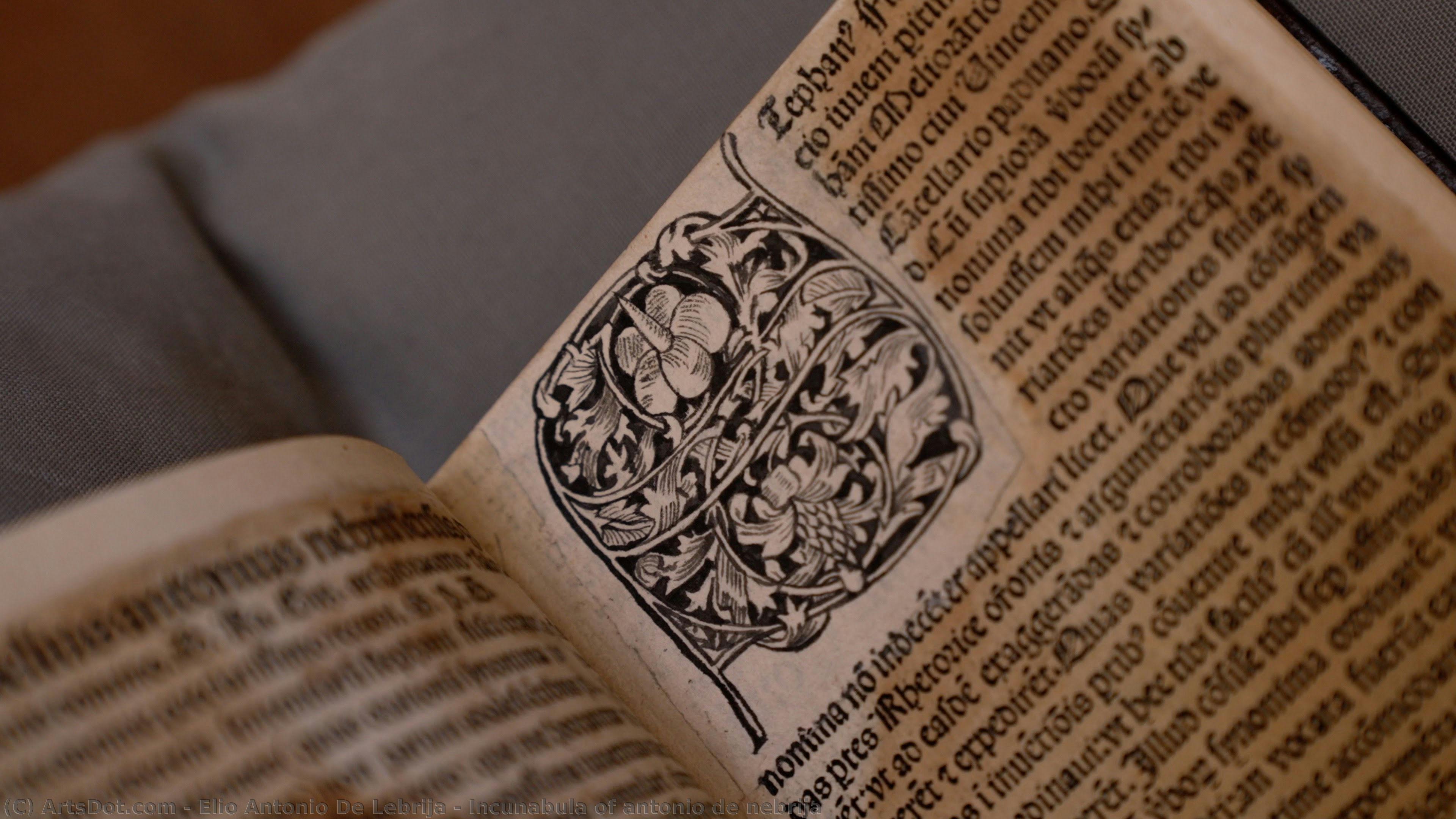 Incunabula Of Antonio De Nebrija — Elio Antonio De Nebrija