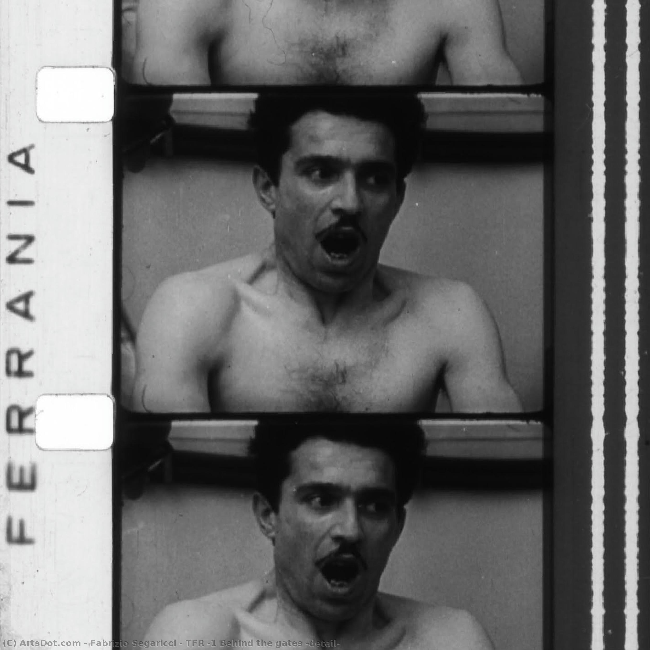 Tfr #1 Behind The Gates (detail) — Fabrizio Segaricci