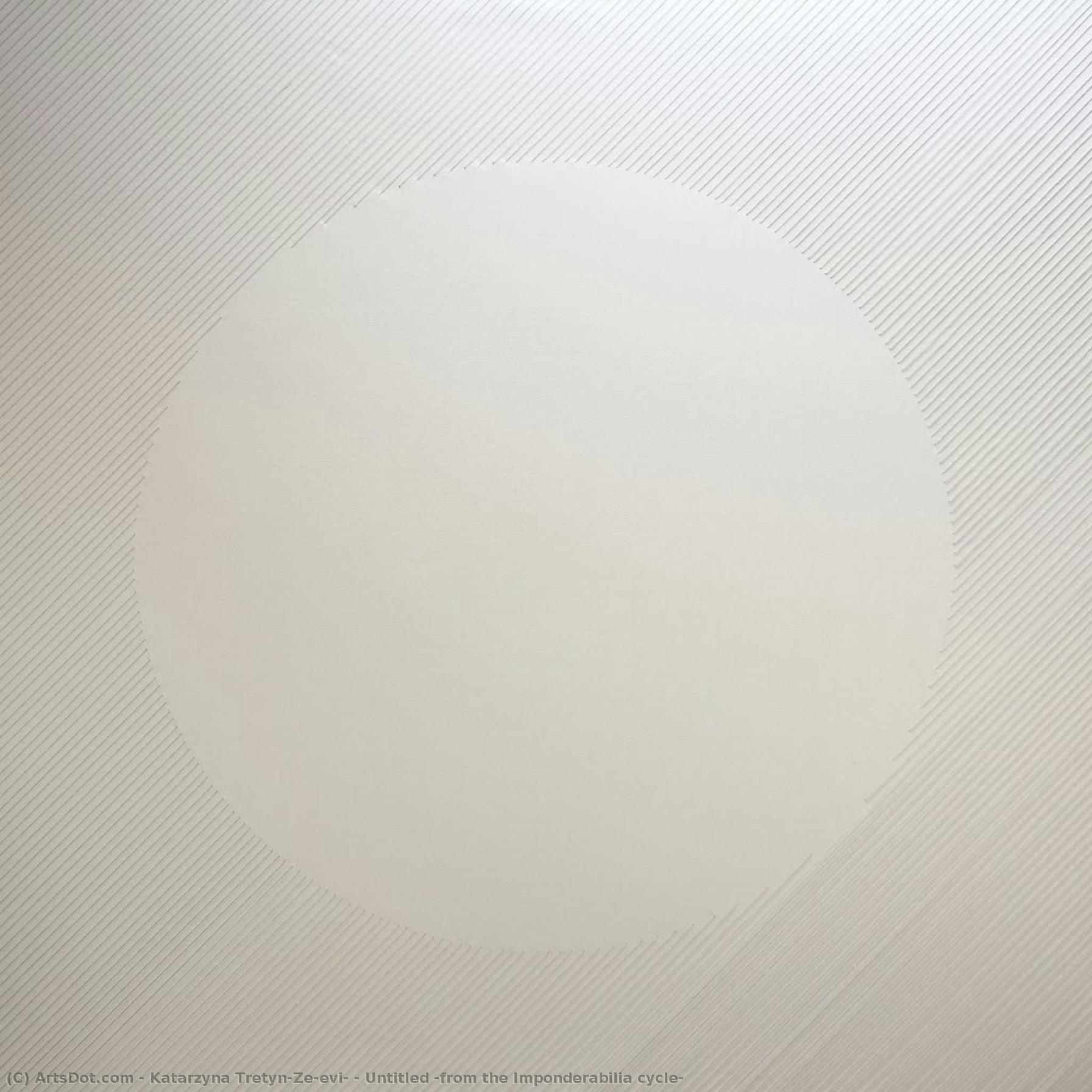 Untitled (from The Imponderabilia Cycle) — Katarzyna Tretyn-zečević