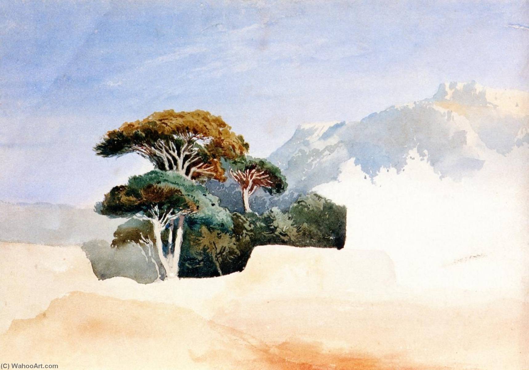 Midi, Étude De Pins Dans Un Paysage — Felix Francois Georges Philbert Ziem