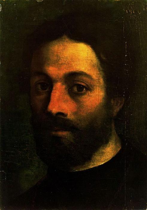 Head Of Giovane Barbuto — Sebastiano Del Piombo