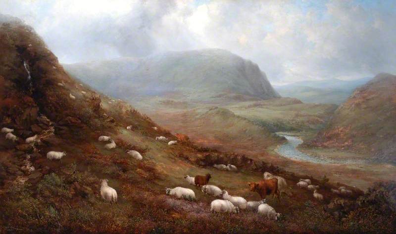 Sheep Walk, Cronkley Crags, Teesdale, County Durham — Mark Thompson