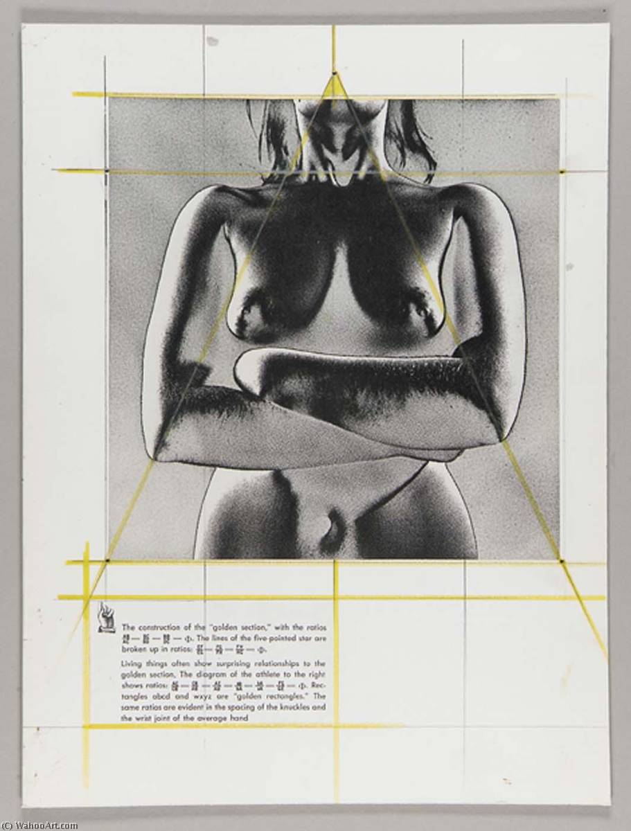 Untitled (nude Female Torso, Solarized) — Joseph Cornell