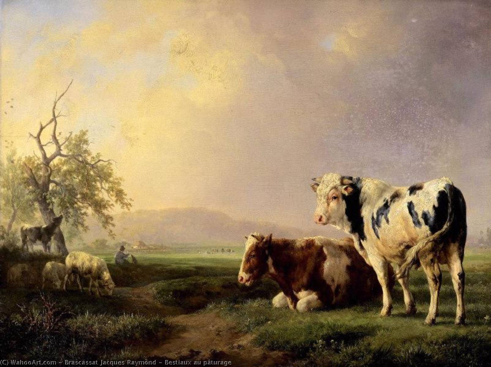 Bestiaux Au Pâturage — Jacques Raymond Brascassat