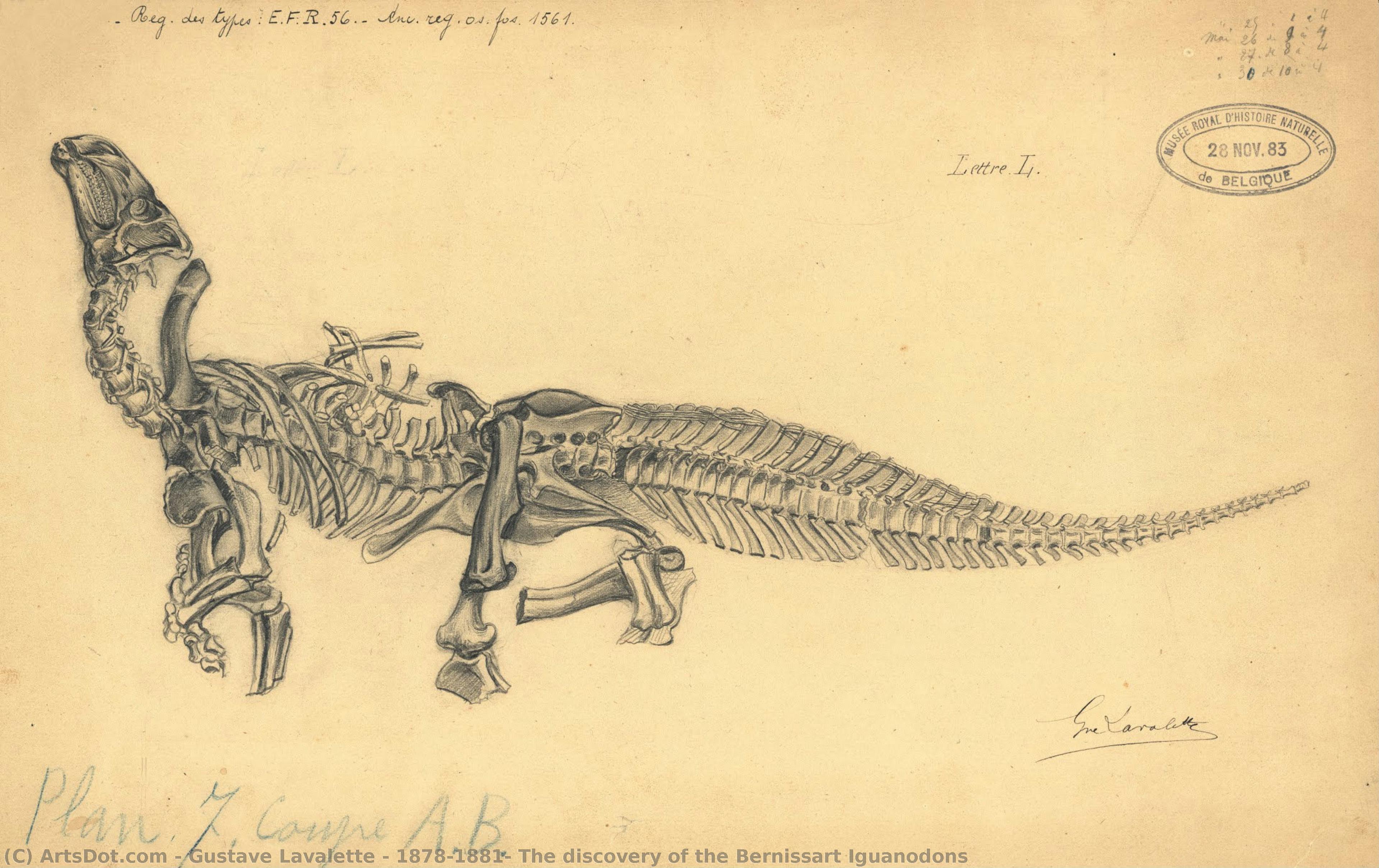 1878-1881: The Discovery Of The Bernissart Iguanodons — Gustave Lavalette