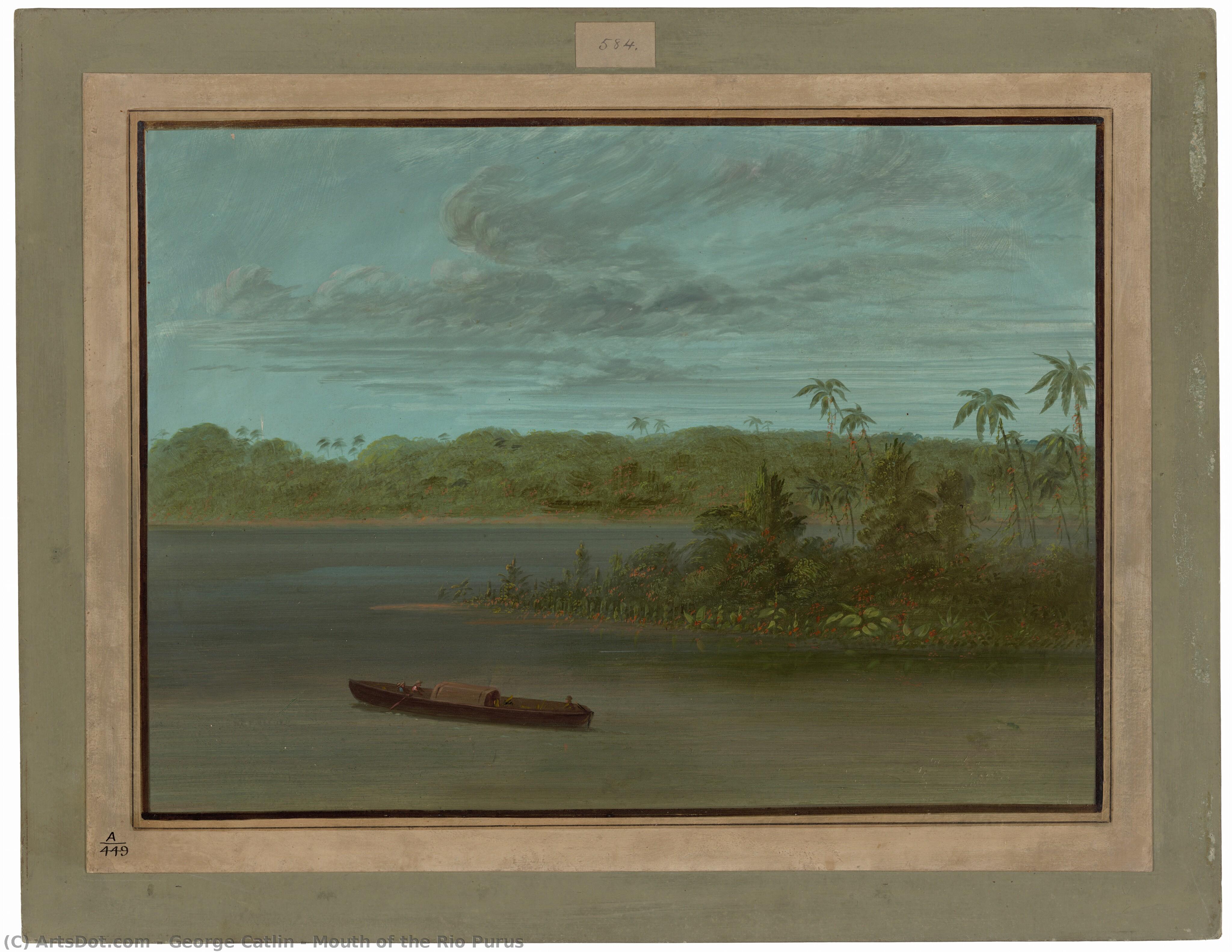 Mouth Of The Rio Purus — George Catlin