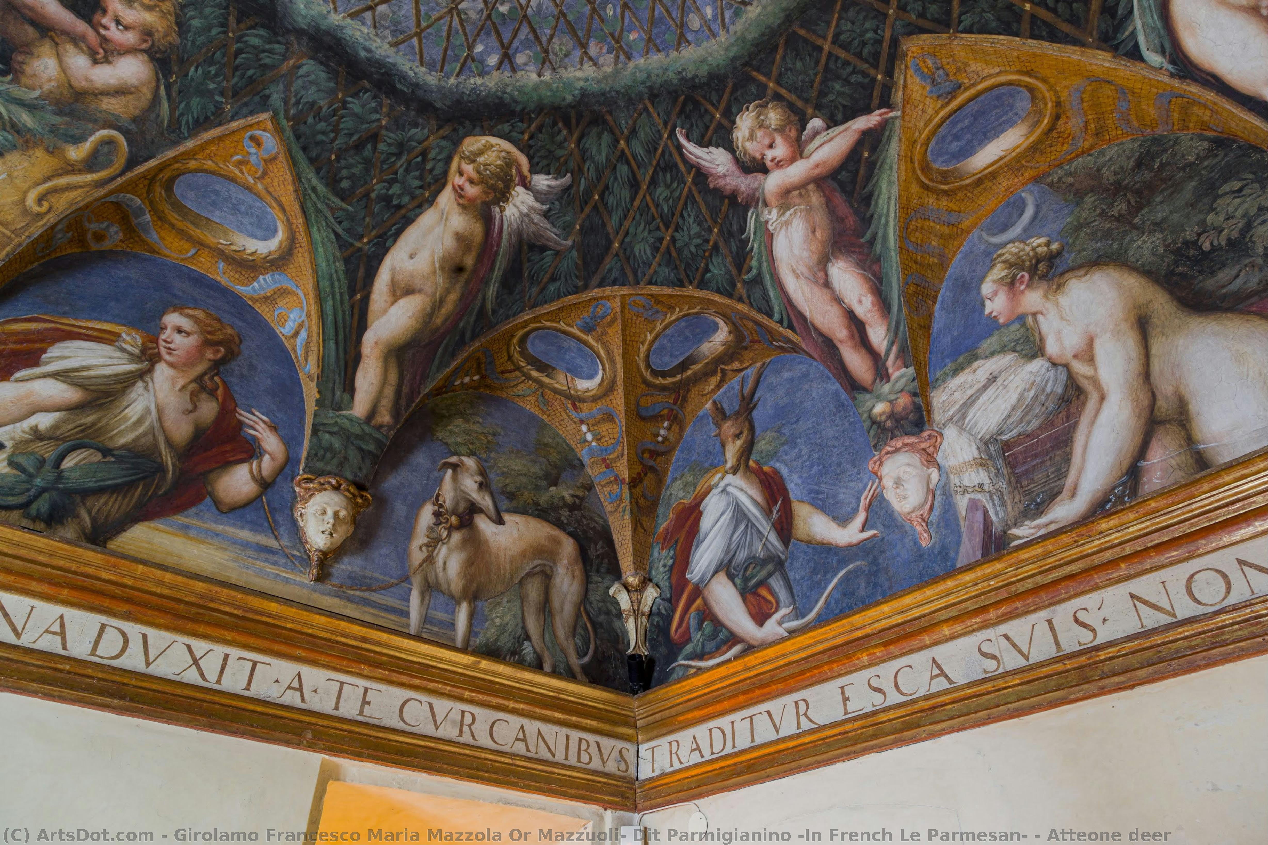 Atteone Deer — Girolamo Francesco Maria Mazzola Or Mazzuoli, Dit Parmigianino (in French Le Parmesan)